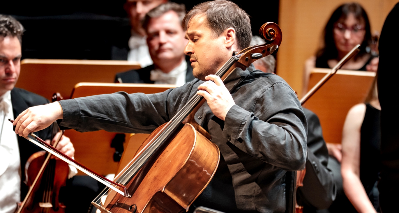 Z czeskich lasów i łąk